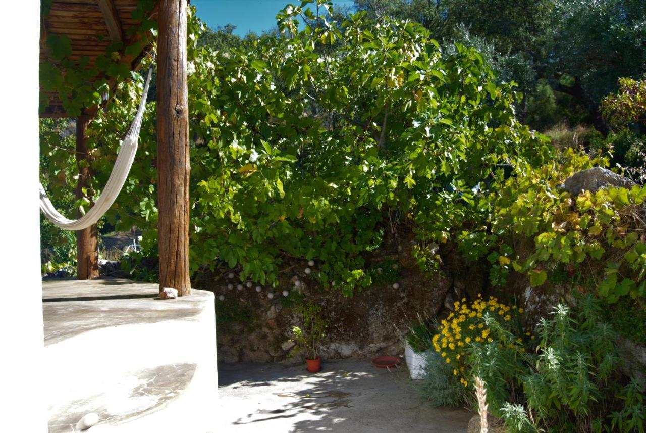 Terrafazbem Villa Marvão Екстериор снимка